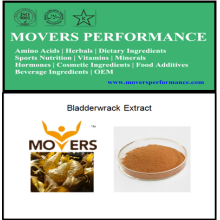 Hot Sell Natural Extract: Bladderwrack Extract
